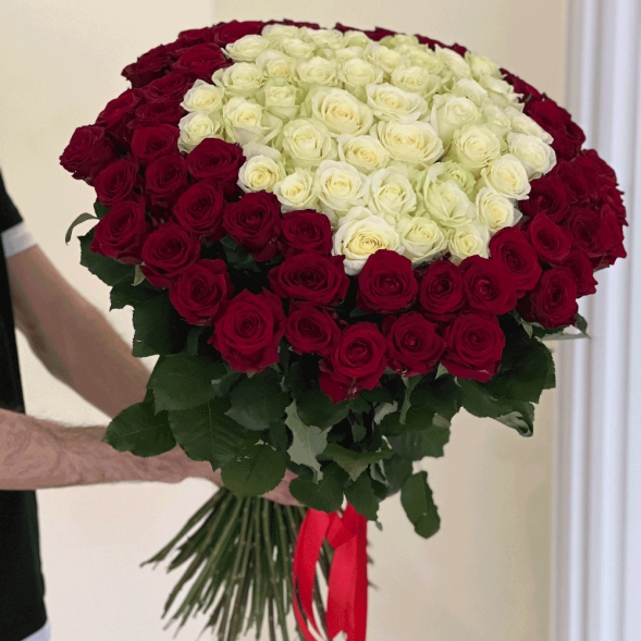 101 роза красная и в середине белая в Форосе