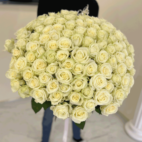 101 белая роза, лента в Форосе