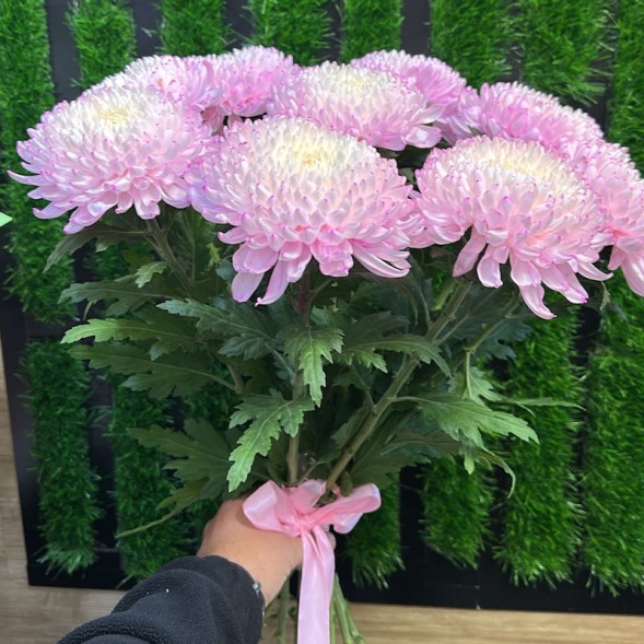 Лунный блик в Форосе