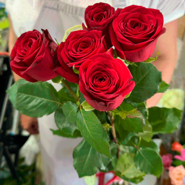 5 красных роз в Форосе