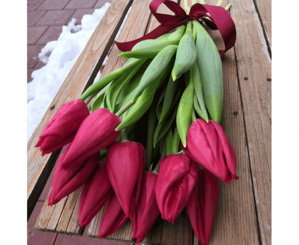 11 красных тюльпанов, лента в Форосе