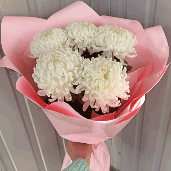 Букет 5 одноголовых хризантем в Форосе